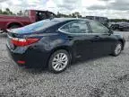 2013 Lexus ES 300H