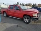 2008 Dodge Dakota SXT