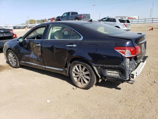 2010 Lexus ES 350