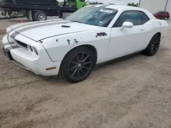 Vehiculos salvage en venta de Copart Mercedes, TX: 2013 Dodge Challenger SXT