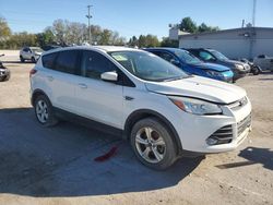 2016 Ford Escape SE en venta en Lexington, KY