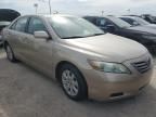 2008 Toyota Camry Hybrid