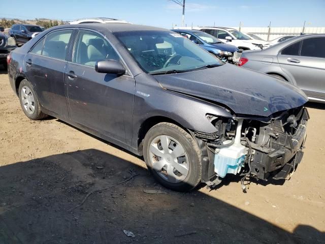 2009 Toyota Camry Hybrid