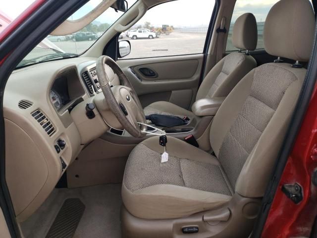 2005 Ford Escape XLT