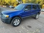 2005 Ford Escape XLT