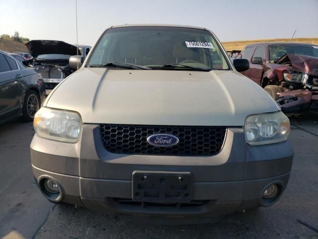 2005 Ford Escape XLT