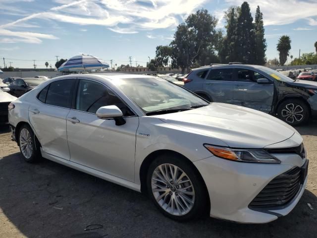 2019 Toyota Camry Hybrid