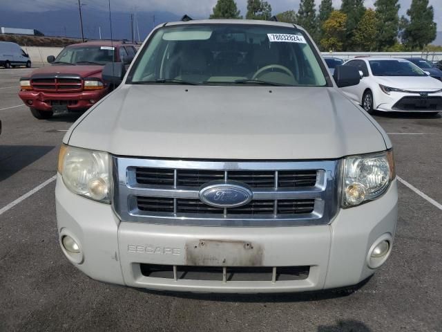 2008 Ford Escape XLT