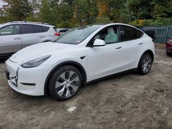 Salvage cars for sale at Candia, NH auction: 2020 Tesla Model Y