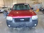 2007 Ford Escape XLT