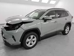 Vehiculos salvage en venta de Copart Van Nuys, CA: 2019 Toyota Rav4 XLE