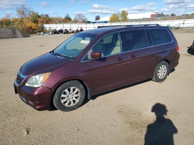 2008 Honda Odyssey EXL