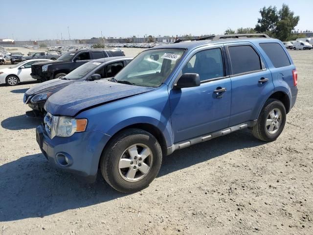 2010 Ford Escape XLT