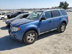 Ford salvage cars for sale: 2010 Ford Escape XLT