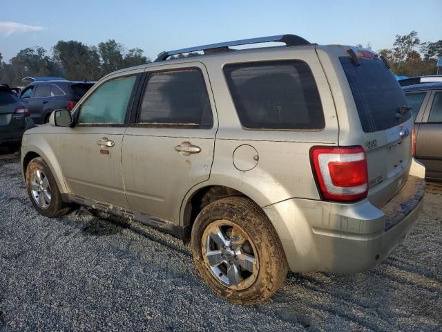 2011 Ford Escape Limited