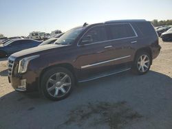 2017 Cadillac Escalade Luxury en venta en Indianapolis, IN