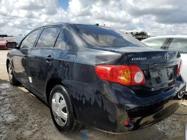 2010 Toyota Corolla Base