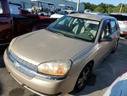 Flood-damaged cars for sale at auction: 2005 Chevrolet Malibu Maxx LS