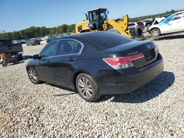 2011 Honda Accord EXL