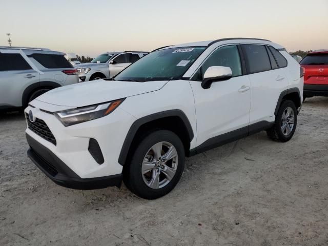 2024 Toyota Rav4 XLE