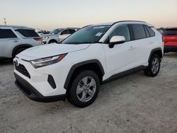 Salvage cars for sale at Arcadia, FL auction: 2024 Toyota Rav4 XLE