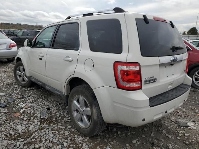 2010 Ford Escape Limited