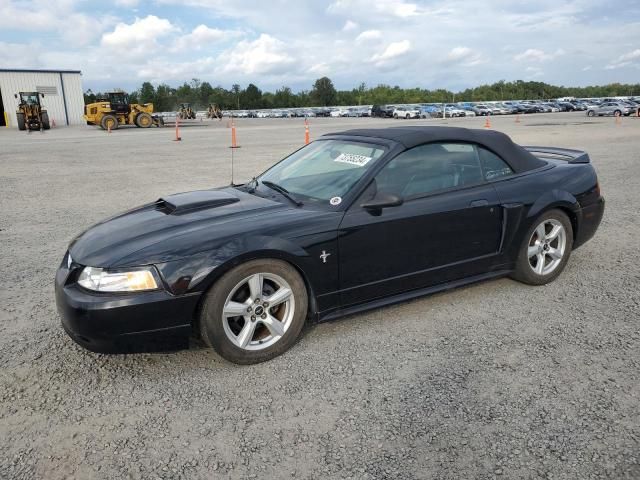 2000 Ford Mustang