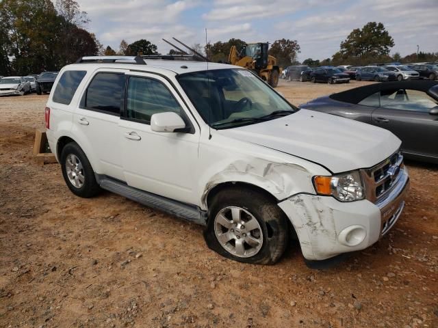 2009 Ford Escape Limited