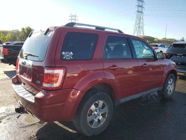 2011 Ford Escape Limited