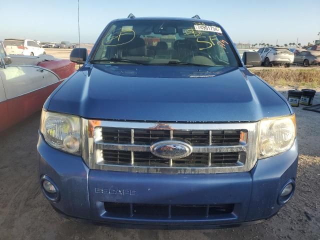 2009 Ford Escape XLT