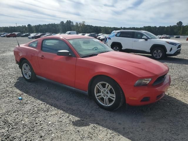 2010 Ford Mustang