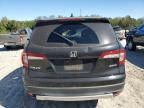 2019 Honda Pilot EXL