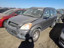 Salvage cars for sale at Brighton, CO auction: 2006 Honda CR-V LX