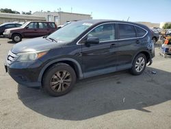 Salvage cars for sale from Copart Martinez, CA: 2013 Honda CR-V EX