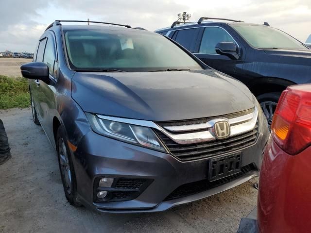 2019 Honda Odyssey EXL