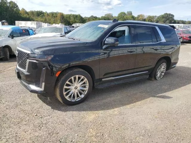 2021 Cadillac Escalade Premium Luxury