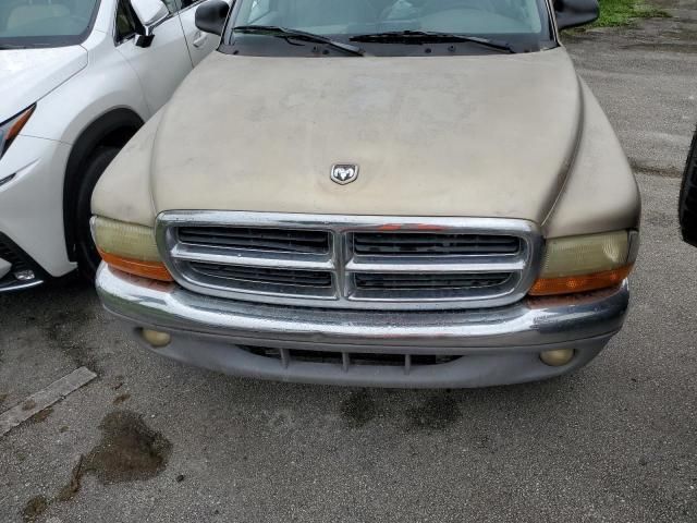 2002 Dodge Dakota SLT