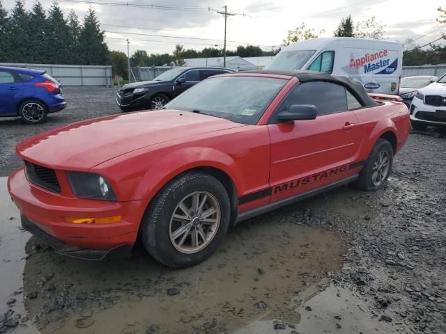 2005 Ford Mustang