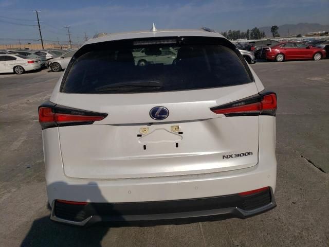 2021 Lexus NX 300H Base