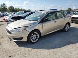 Salvage cars for sale at Lawrenceburg, KY auction: 2018 Ford Focus SE