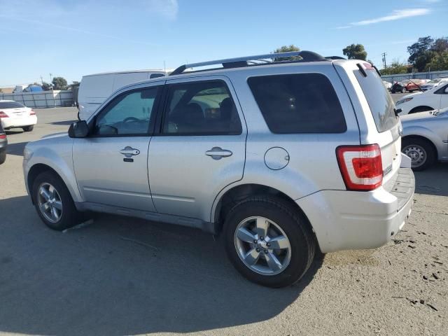 2010 Ford Escape Limited