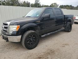 Salvage cars for sale at Greenwell Springs, LA auction: 2013 Ford F150 Supercrew