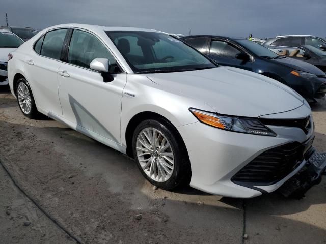 2019 Toyota Camry Hybrid