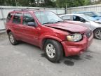 2006 Ford Escape HEV