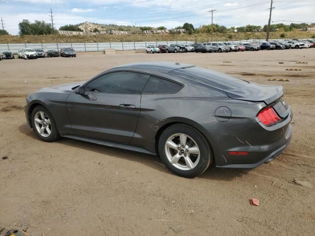 2019 Ford Mustang