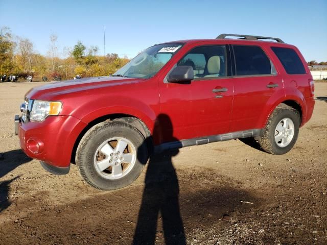 2010 Ford Escape XLT