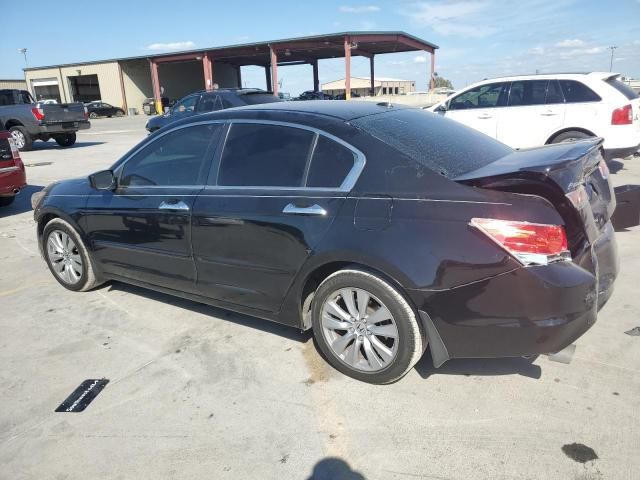 2011 Honda Accord EXL