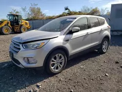 Ford Vehiculos salvage en venta: 2017 Ford Escape SE