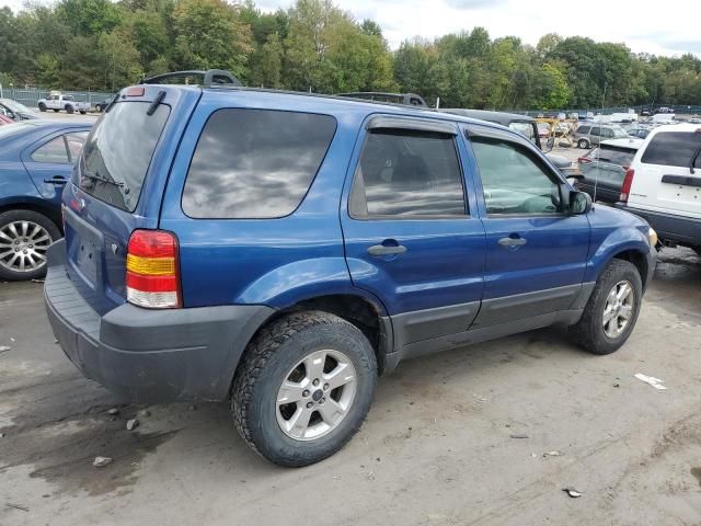 2007 Ford Escape XLT