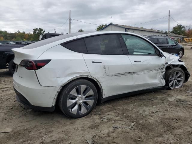 2020 Tesla Model Y